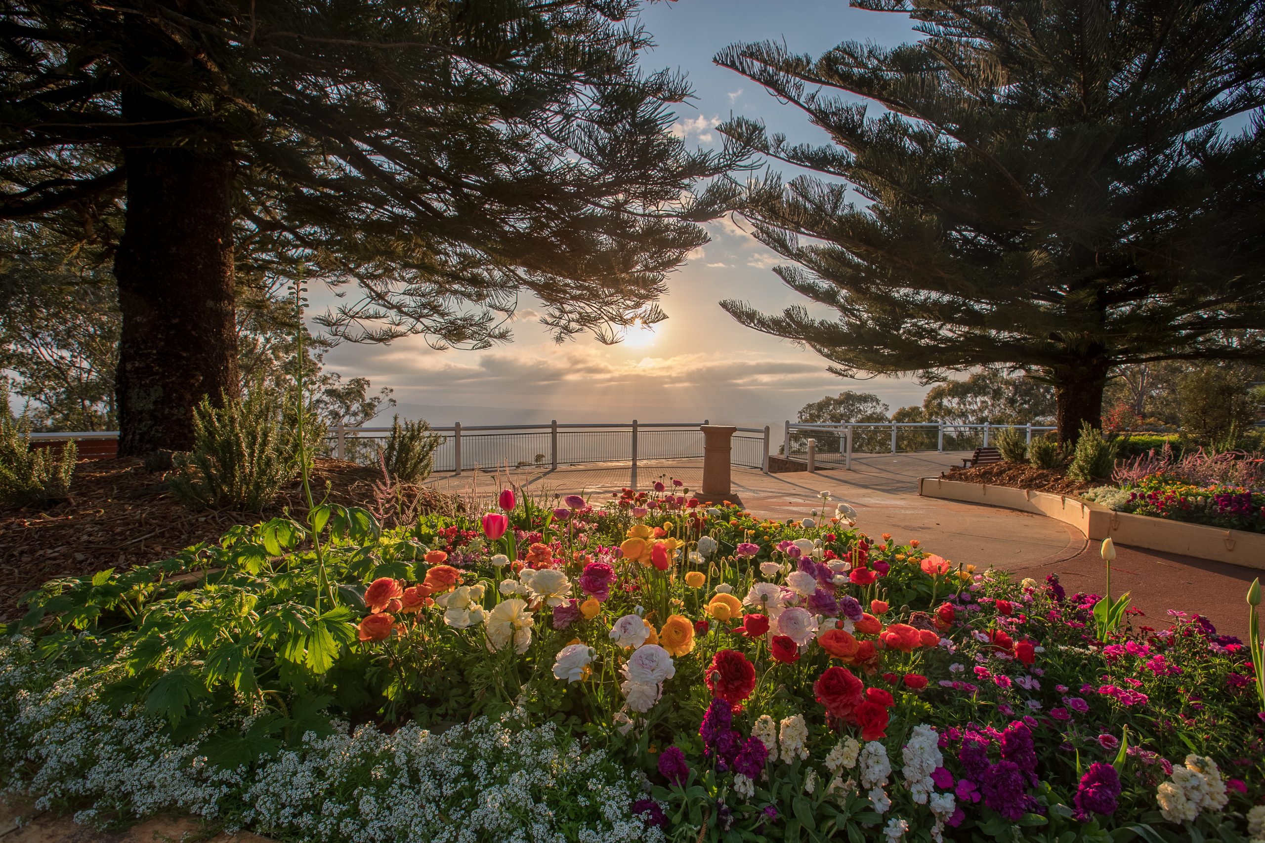 Toowoomba-carnival-of-flowers